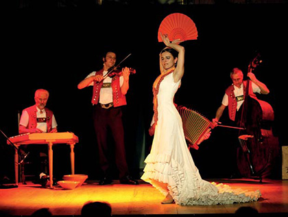 Flamenco Bettina Castaño – Flamenco und